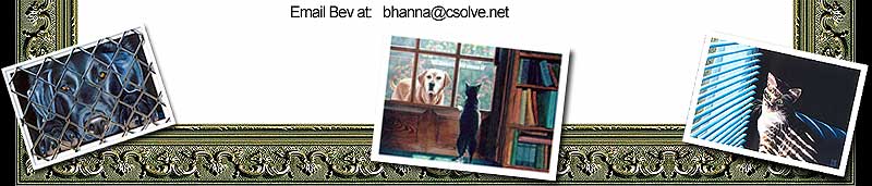 Beverley J. Hanna - Blog bottom frame