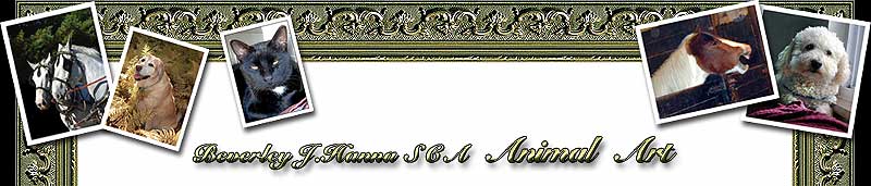 Beverley J. Hanna - Blog top frame