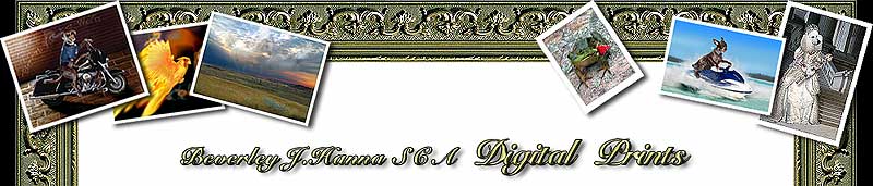 Beverley J. Hanna - Blog top frame