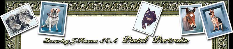 Beverley J. Hanna - Blog top frame